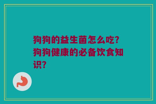 狗狗的益生菌怎么吃？狗狗健康的必备饮食知识？