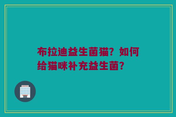 布拉迪益生菌猫？如何给猫咪补充益生菌？