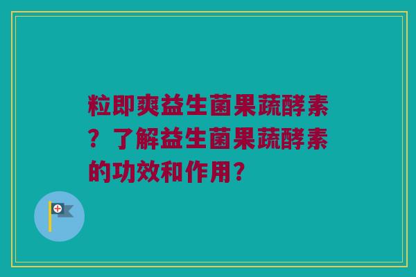 粒即爽益生菌果蔬酵素？了解益生菌果蔬酵素的功效和作用？