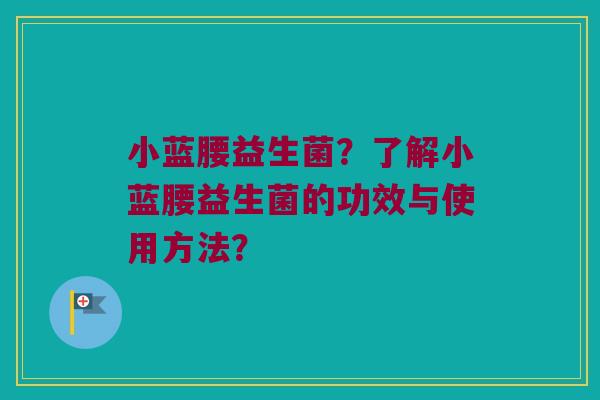 小蓝腰益生菌？了解小蓝腰益生菌的功效与使用方法？