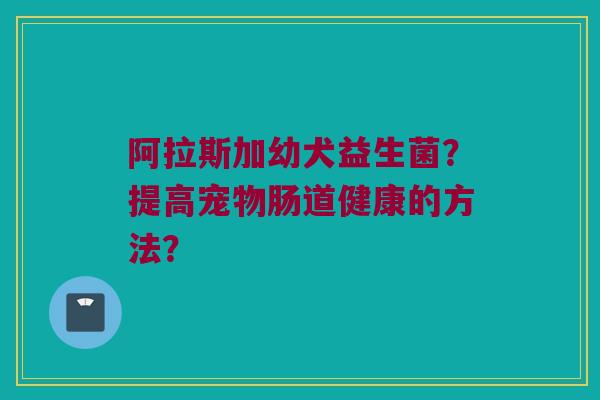 阿拉斯加幼犬益生菌？提高宠物肠道健康的方法？