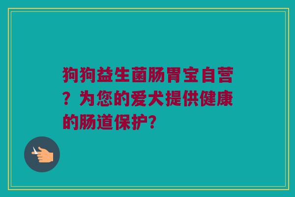 狗狗益生菌肠胃宝自营?为您的爱犬提供健康的肠道保护? 狗狗益生菌肠胃宝自营?为您的爱犬提供健康的肠道保护?