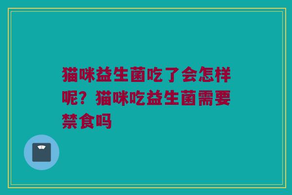 猫咪益生菌吃了会怎样呢？猫咪吃益生菌需要禁食吗