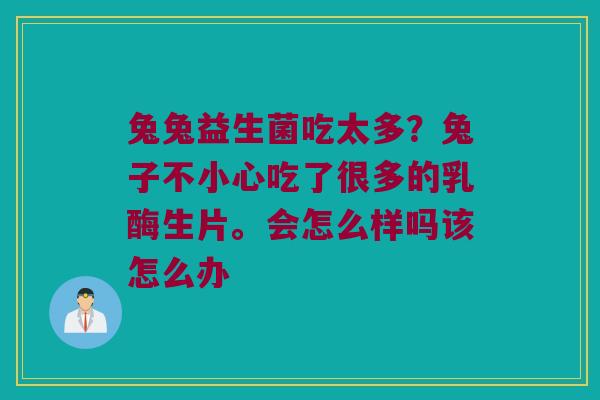 兔兔益生菌吃太多?兔子不小心吃了很多的乳酶生片。会怎么样吗该怎么办 兔兔益生菌吃太多?兔子不小心吃了很多的乳酶生片。会怎么样吗该怎么办
