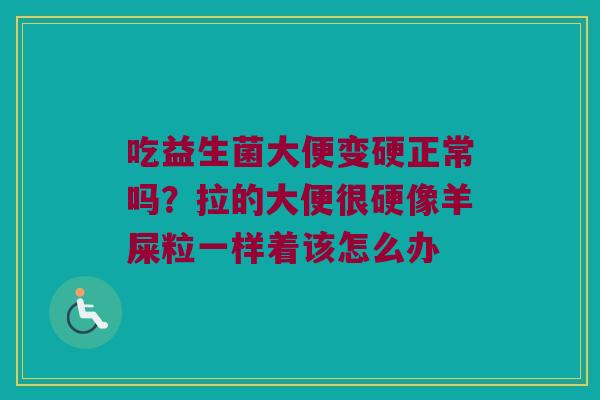 吃益生菌大便变硬正常吗?拉的大便很硬像羊屎粒一样着该怎么办 吃益生菌大便变硬正常吗?拉的大便很硬像羊屎粒一样着该怎么办