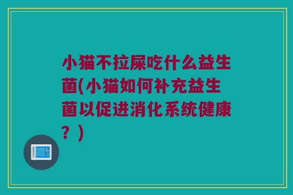 小猫不拉屎吃什么益生菌(小猫如何补充益生菌以促进消化系统健康？)