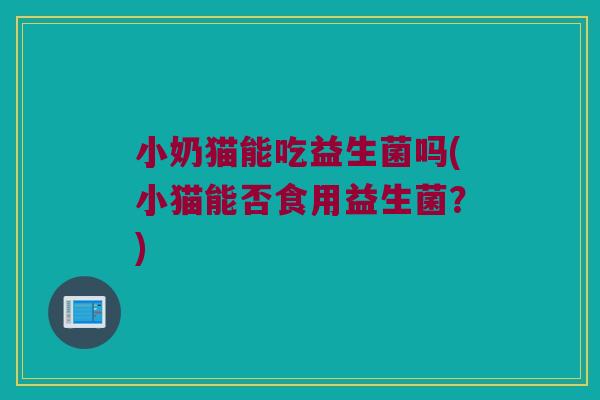 小奶猫能吃益生菌吗(小猫能否食用益生菌？)