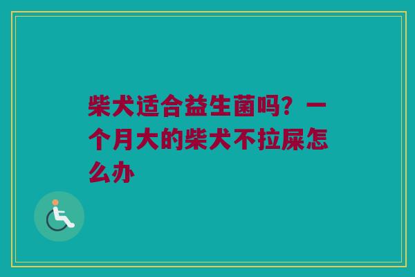柴犬适合益生菌吗？一个月大的柴犬不拉屎怎么办