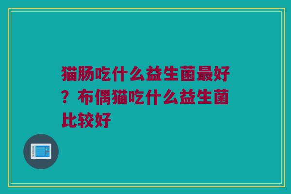 猫肠吃什么益生菌最好？布偶猫吃什么益生菌比较好