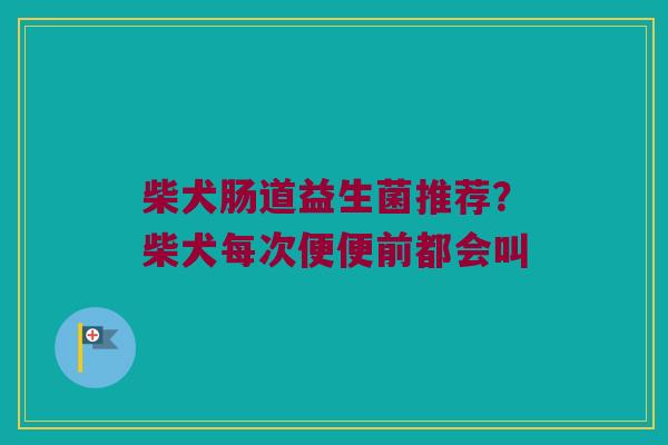 柴犬肠道益生菌推荐？柴犬每次便便前都会叫
