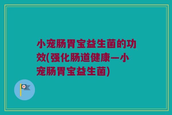 小宠肠胃宝益生菌的功效(强化肠道健康—小宠肠胃宝益生菌)