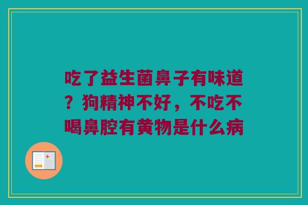 吃了益生菌鼻子有味道？狗精神不好，不吃不喝鼻腔有黄物是什么病