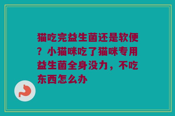 猫吃完益生菌还是软便？小猫咪吃了猫咪专用益生菌全身没力，不吃东西怎么办