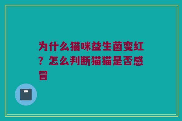 为什么猫咪益生菌变红？怎么判断猫猫是否感冒
