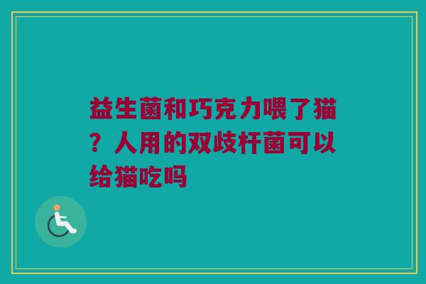 益生菌和巧克力喂了猫？人用的双歧杆菌可以给猫吃吗
