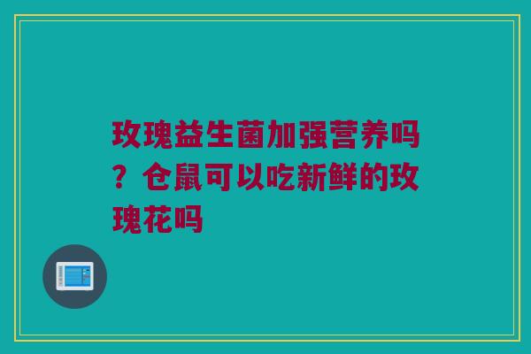 玫瑰益生菌加强营养吗？仓鼠可以吃新鲜的玫瑰花吗