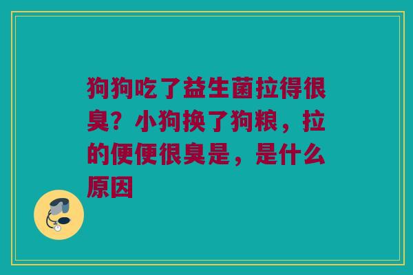 狗狗吃了益生菌拉得很臭？小狗换了狗粮，拉的便便很臭是，是什么原因