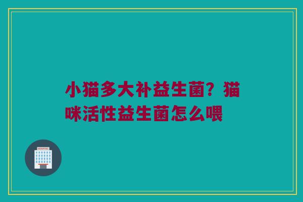 小猫多大补益生菌？猫咪活性益生菌怎么喂