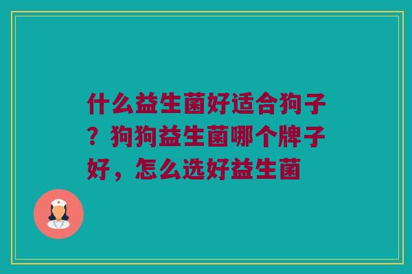 什么益生菌好适合狗子?狗狗益生菌哪个牌子好,怎么选好益生菌 什么益生菌好适合狗子?狗狗益生菌哪个牌子好,怎么选好益生菌