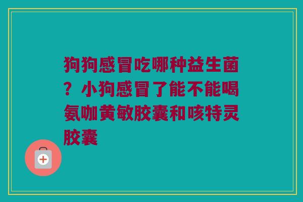 狗狗吃哪种益生菌?小狗了能不能喝氨咖黄敏胶囊和咳特灵胶囊 狗狗吃哪种益生菌?小狗了能不能喝氨咖黄敏胶囊和咳特灵胶囊