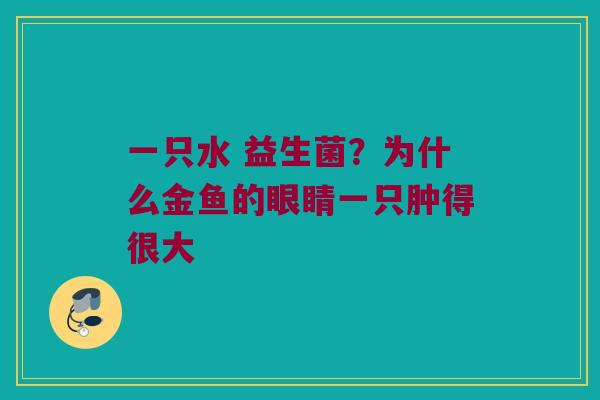一只水 益生菌?为什么金鱼的眼睛一只肿得很大 一只水 益生菌?为什么金鱼的眼睛一只肿得很大