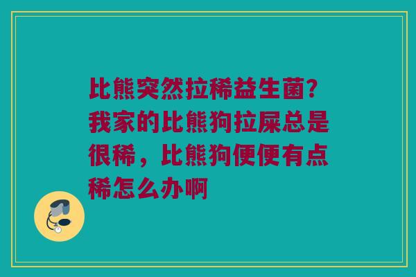 比熊突然拉稀益生菌？我家的比熊狗拉屎总是很稀，比熊狗便便有点稀怎么办啊
