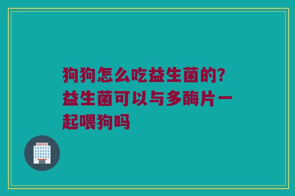 狗狗怎么吃益生菌的?益生菌可以与多酶片一起喂狗吗 狗狗怎么吃益生菌的?益生菌可以与多酶片一起喂狗吗