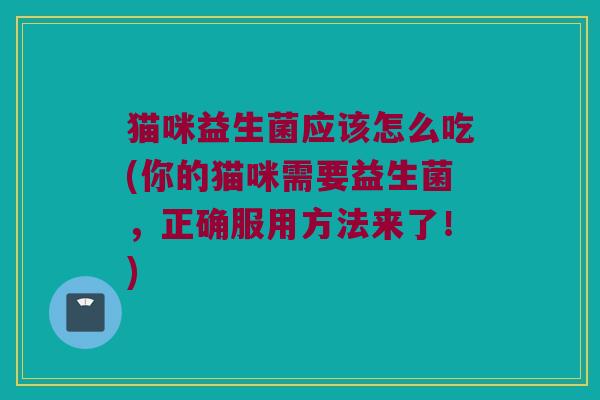 猫咪益生菌应该怎么吃(你的猫咪需要益生菌,正确服用方法来了!) 猫咪益生菌应该怎么吃(你的猫咪需要益生菌,正确服用方法来了!)