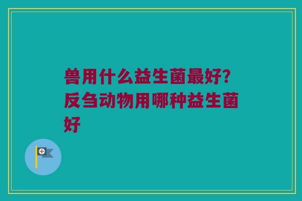 兽用什么益生菌好?反刍动物用哪种益生菌好 兽用什么益生菌好?反刍动物用哪种益生菌好