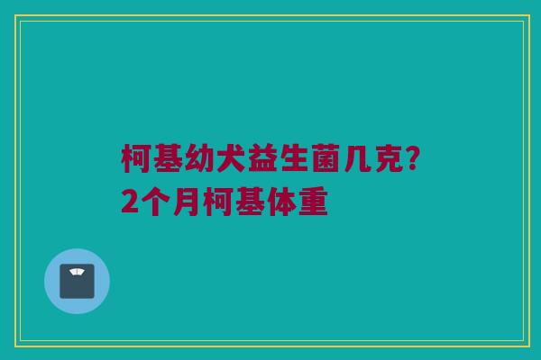 柯基幼犬益生菌几克？2个月柯基体重