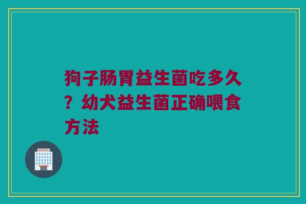 狗子肠胃益生菌吃多久？幼犬益生菌正确喂食方法