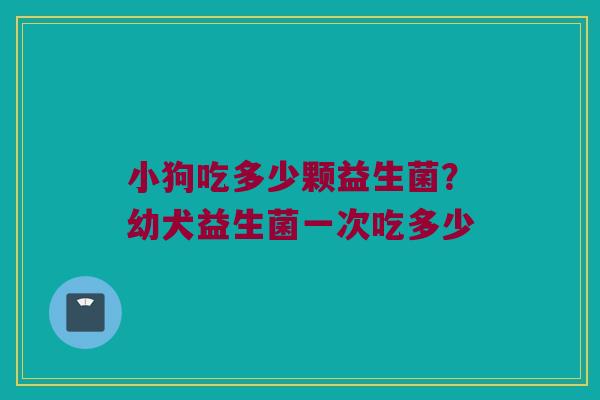 小狗吃多少颗益生菌？幼犬益生菌一次吃多少