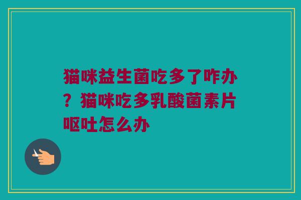 猫咪益生菌吃多了咋办？猫咪吃多乳酸菌素片呕吐怎么办