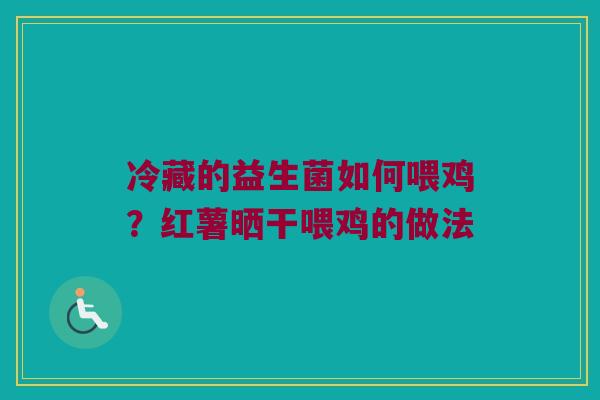 冷藏的益生菌如何喂鸡？红薯晒干喂鸡的做法