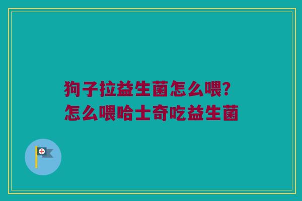 狗子拉益生菌怎么喂？怎么喂哈士奇吃益生菌