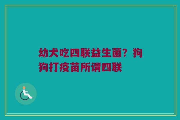 幼犬吃四联益生菌？狗狗打疫苗所谓四联