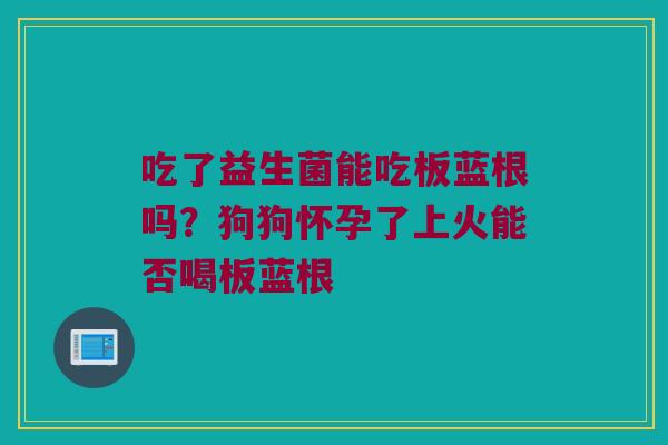 吃了益生菌能吃板蓝根吗？狗狗怀孕了上火能否喝板蓝根
