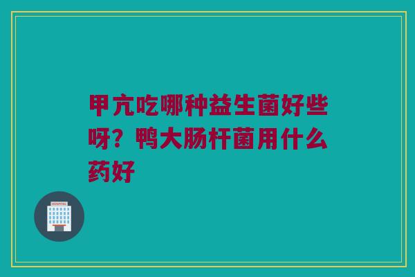 甲亢吃哪种益生菌好些呀？鸭大肠杆菌用什么药好