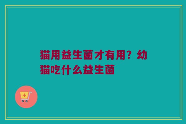 猫用益生菌才有用？幼猫吃什么益生菌