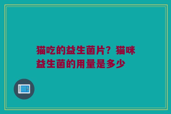 猫吃的益生菌片？猫咪益生菌的用量是多少