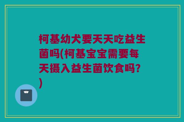 柯基幼犬要天天吃益生菌吗(柯基宝宝需要每天摄入益生菌饮食吗？)