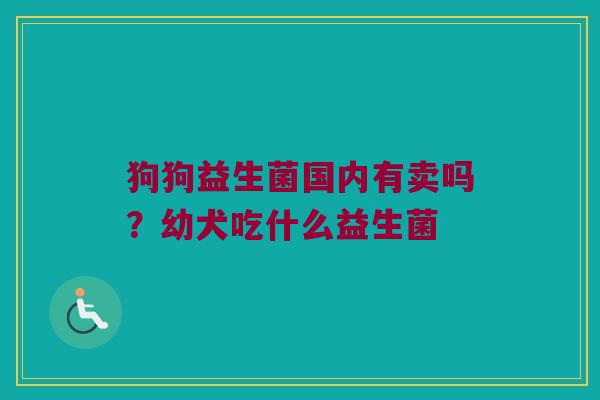 狗狗益生菌国内有卖吗？幼犬吃什么益生菌
