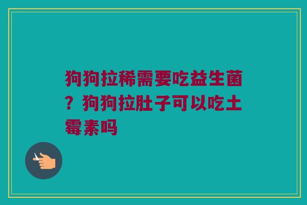 狗狗拉稀需要吃益生菌？狗狗拉肚子可以吃土霉素吗