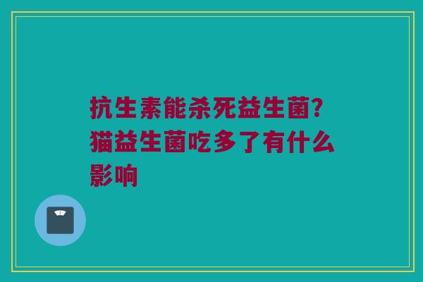 抗生素能杀死益生菌？猫益生菌吃多了有什么影响