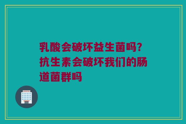 乳酸会破坏益生菌吗?抗生素会破坏我们的肠道菌群吗 乳酸会破坏益生菌吗?抗生素会破坏我们的肠道菌群吗