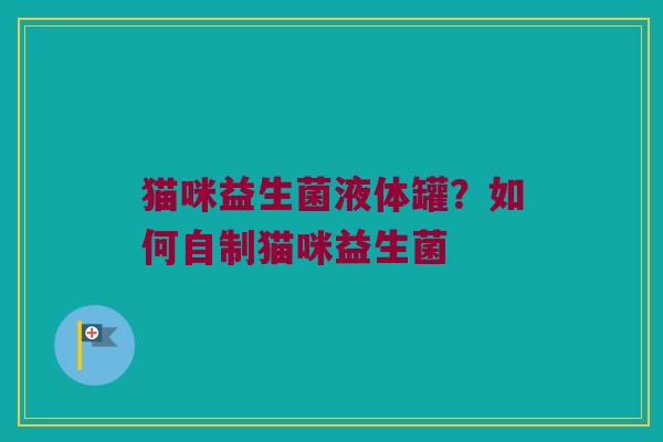 猫咪益生菌液体罐？如何自制猫咪益生菌