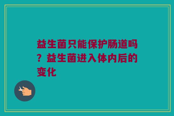 益生菌只能保护肠道吗？益生菌进入体内后的变化