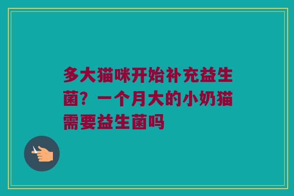 多大猫咪开始补充益生菌？一个月大的小奶猫需要益生菌吗