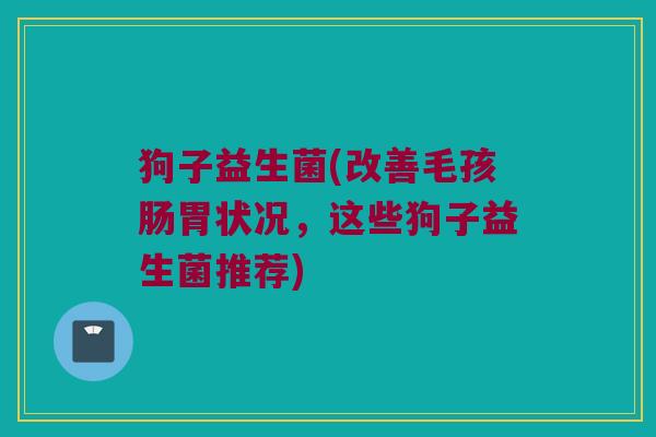 狗子益生菌(改善毛孩肠胃状况，这些狗子益生菌推荐)