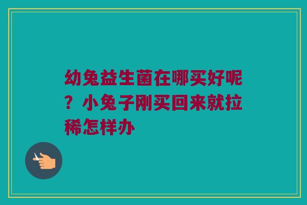 幼兔益生菌在哪买好呢？小兔子刚买回来就拉稀怎样办